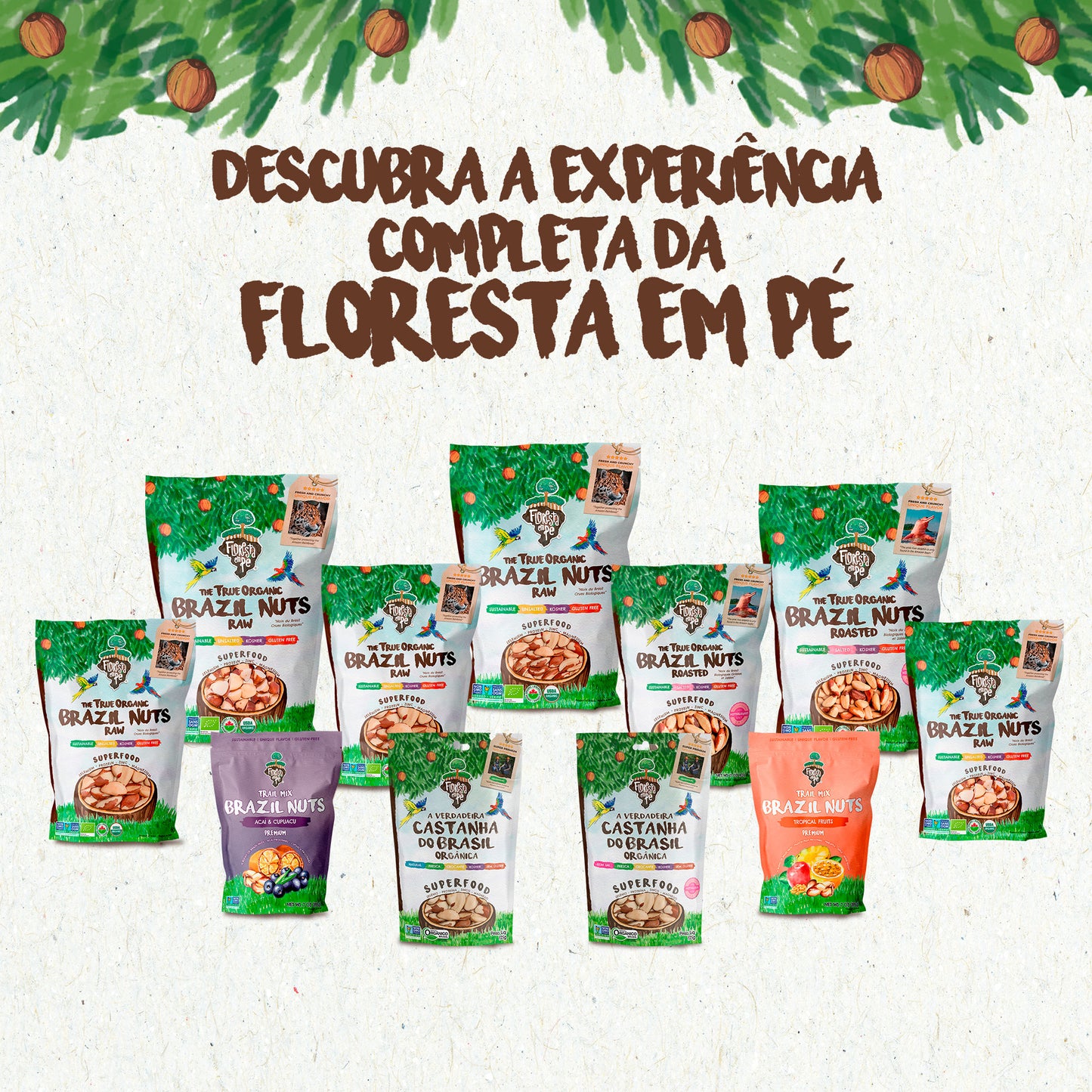 Castanha do Pará Orgânica | Sem Sal | 125g