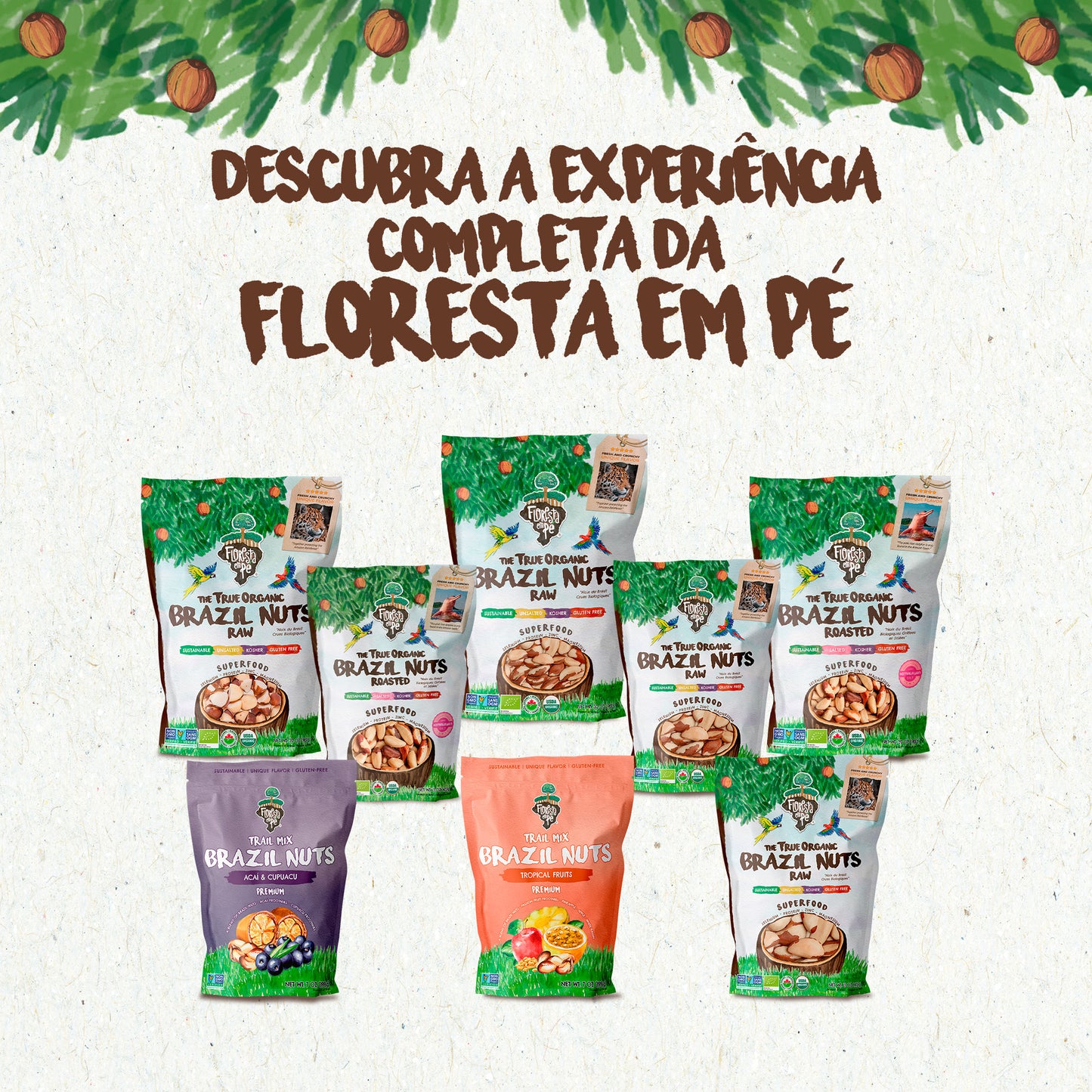 Castanha do Pará Orgânica | Sem Sal | 500g