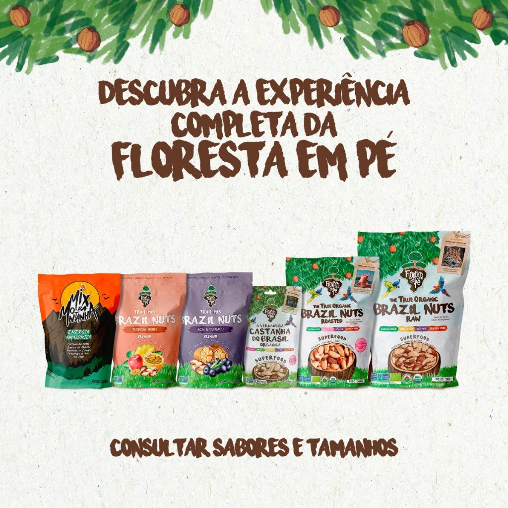 Mix da Montanha | Mix de Castanha, Semente e Frutas desidratadas | 200g