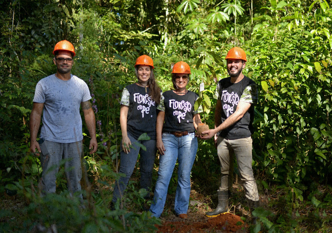 Castanha-do-Pará: Saúde, Sustentabilidade e Impacto Social