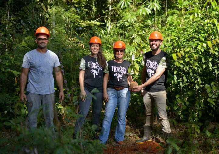 Castanha-do-Pará: Saúde, Sustentabilidade e Impacto Social