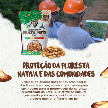 Castanha do Pará Orgânica | Sem Sal | 1kg