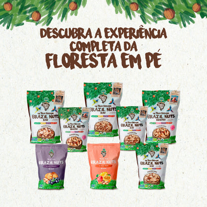 Castanha do Pará Orgânica | Sem Sal | 500g