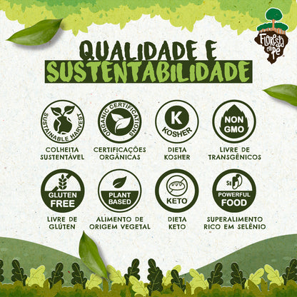 Castanha do Pará Orgânica | Com Sal do Himalaia | 198g
