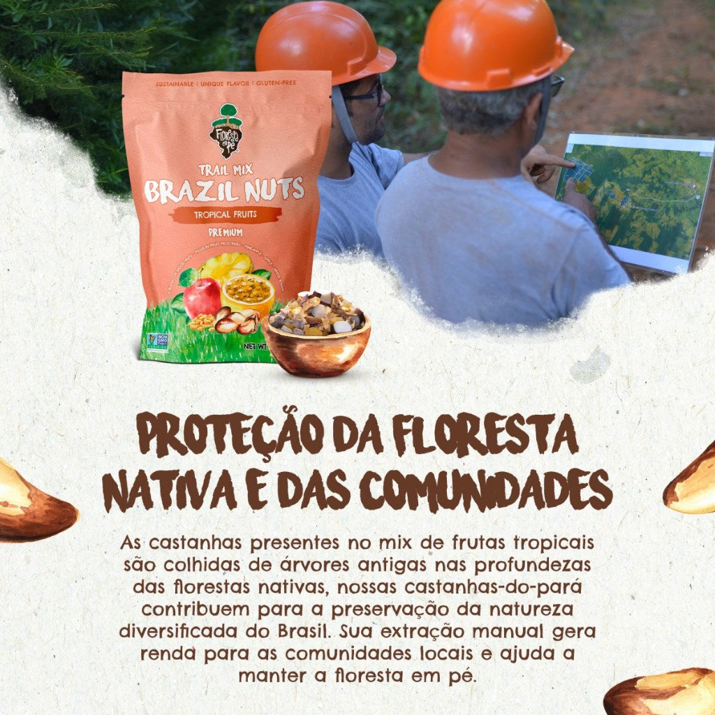 Trail Mix Tropical | Castanha, Maçã, Maracujá, Abacaxi e Uva-Passa | 198g