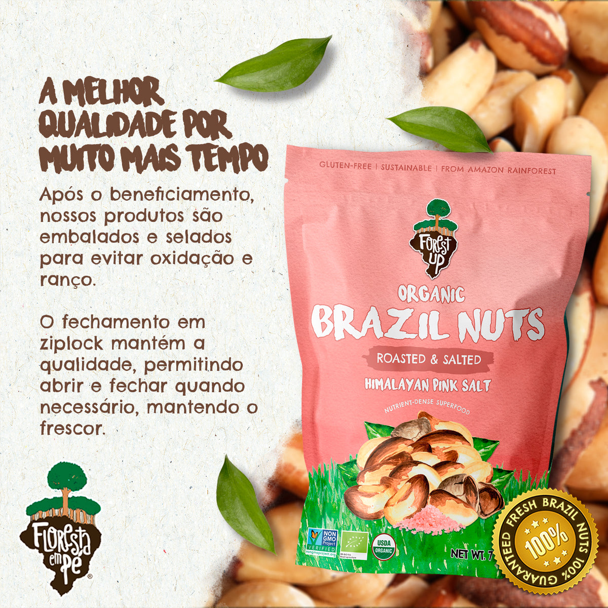 Castanha do Pará Orgânica | Com Sal do Himalaia | 198g