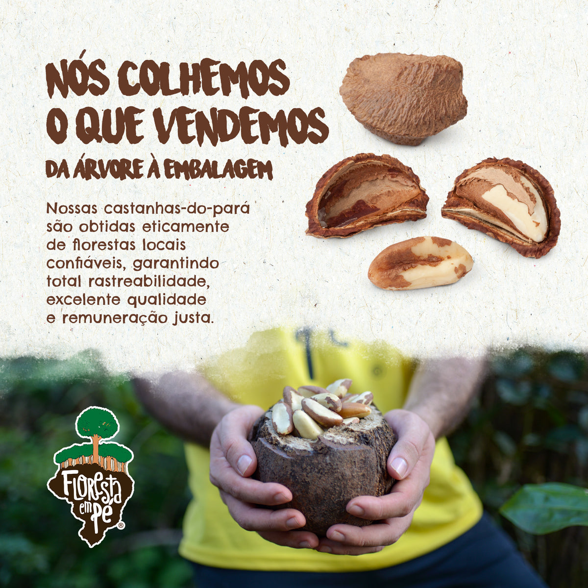 Castanha do Pará Orgânica | Com Sal do Himalaia | 125g