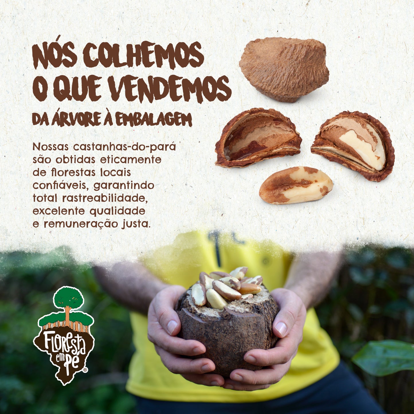 Castanha do Pará Orgânica | Sem Sal | 500g
