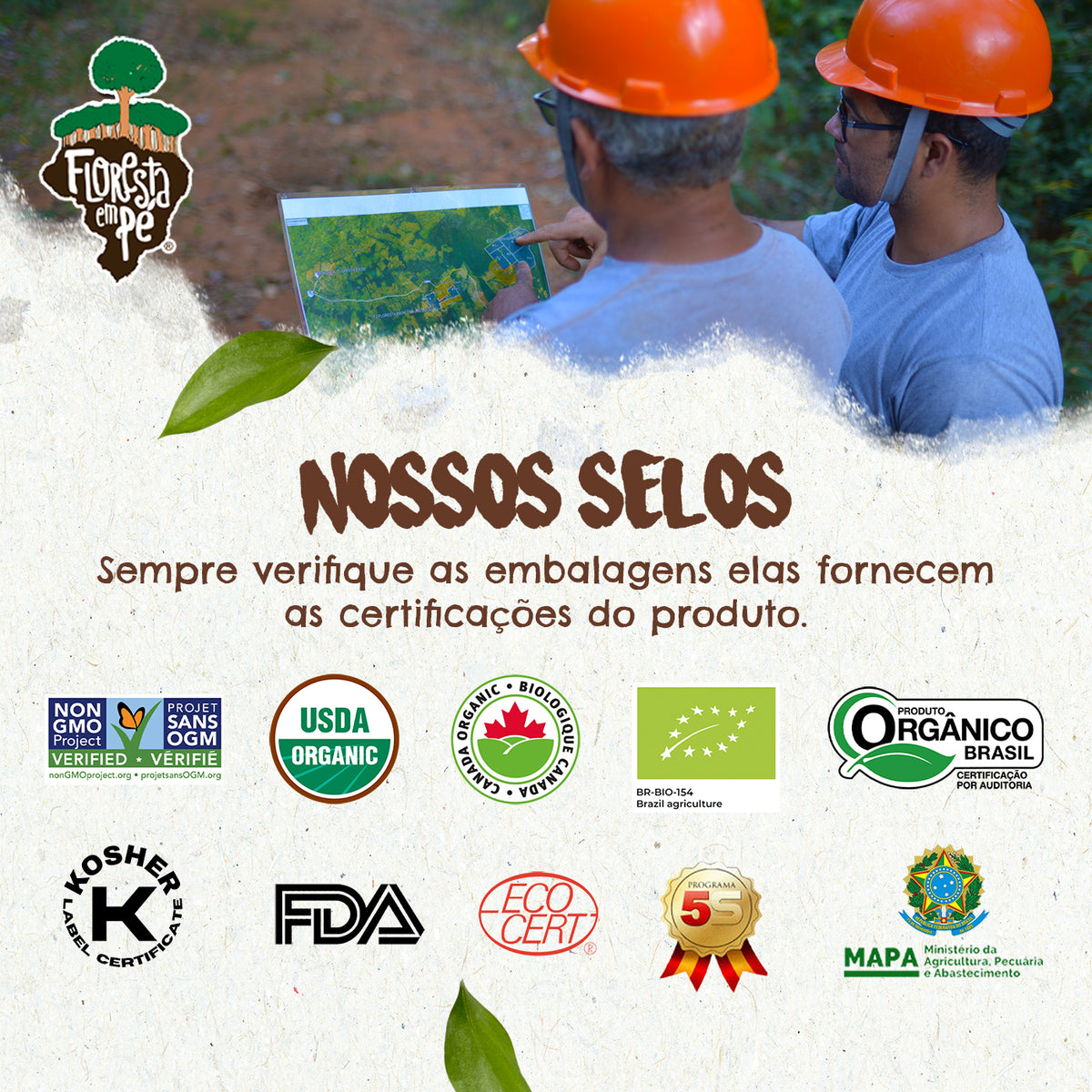 Castanha do Pará Orgânica | Sem Sal | 198g