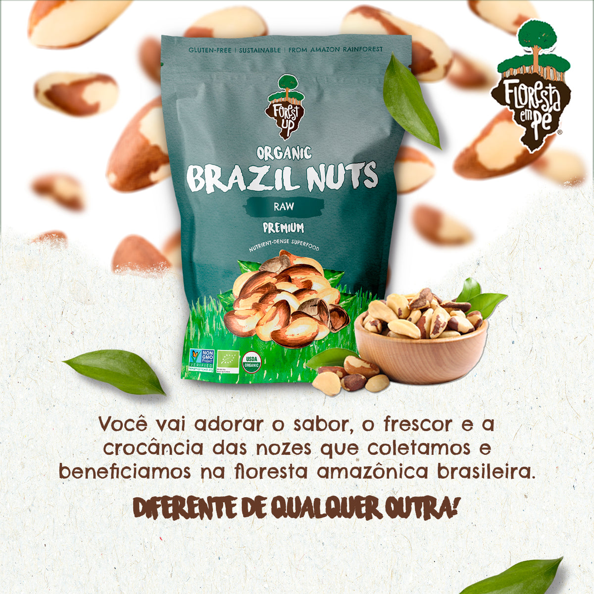 Castanha do Pará Orgânica | Sem Sal | 198g